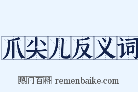爪尖儿反义词是什么意思的图片